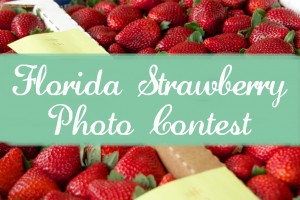 FSGA-Photo-Contest-Blog